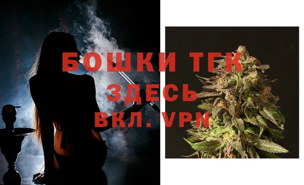крисы Гусев