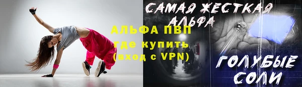 сатива Гусь-Хрустальный