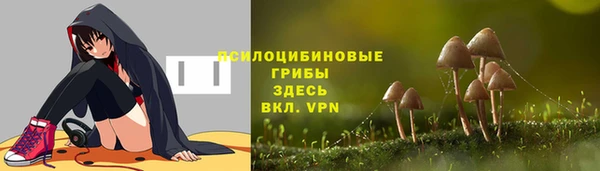ALPHA-PVP Гусиноозёрск