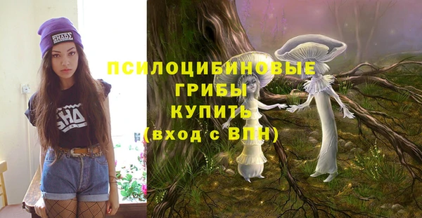 крисы Гусев