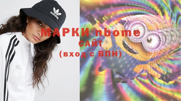 сатива Гусь-Хрустальный
