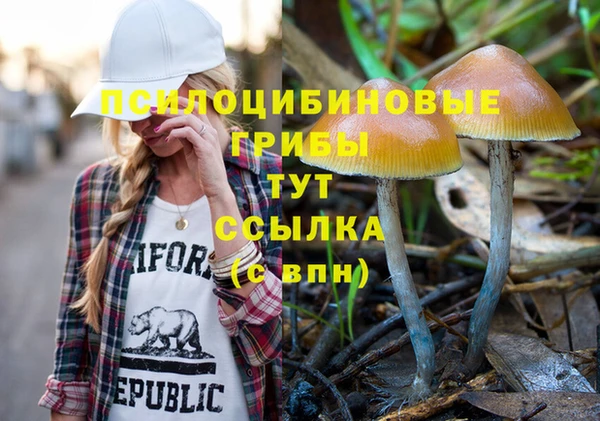 COCAINE Горняк