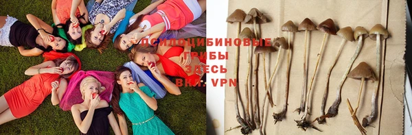 ALPHA-PVP Гусиноозёрск